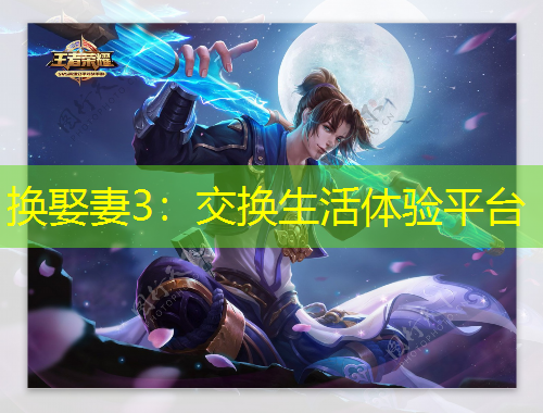 换娶妻3：交换生活体验平台
