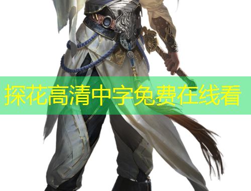 探花高清中字免费在线看