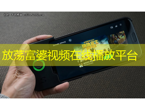 放荡富婆视频在线播放平台