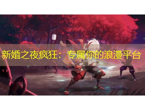 新婚之夜疯狂:专属你的浪漫平台