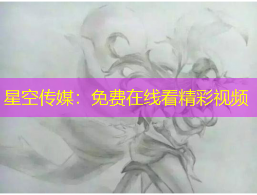 星空传媒：免费在线看精彩视频