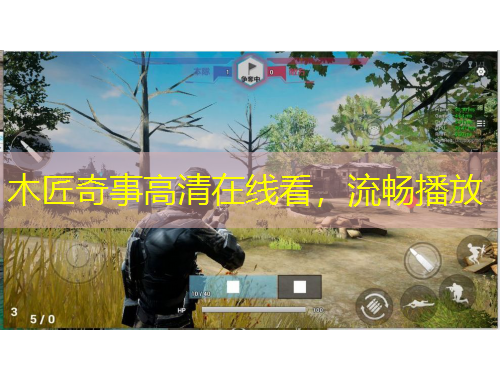 木匠奇事高清在线看，流畅播放
