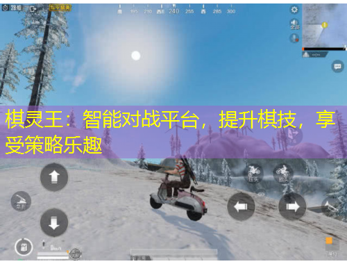 棋灵王：智能对战平台，提升棋技，享受策略乐趣