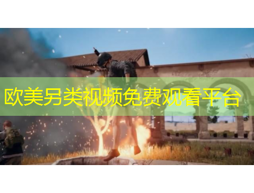欧美另类视频免费观看平台