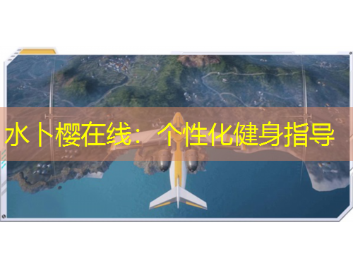 水卜樱在线：个性化健身指导