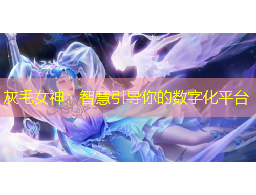 灰毛女神：智慧引导你的数字化平台