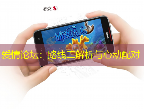 爱情论坛：路线二解析与心动配对