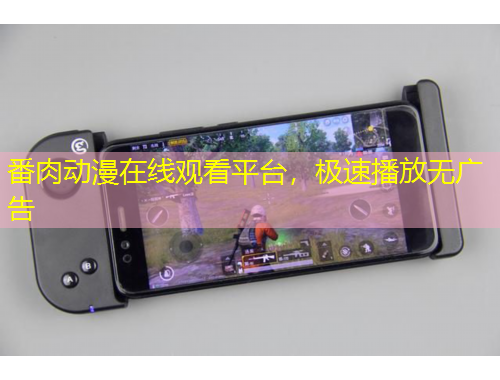 番肉动漫在线观看平台，极速播放无广告