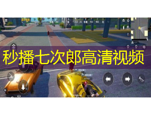 秒播七次郎高清视频