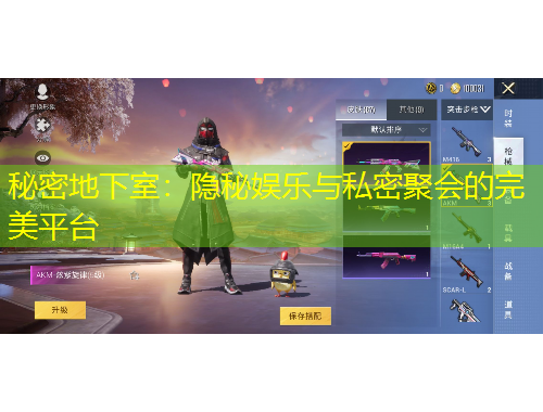 秘密地下室：隐秘娱乐与私密聚会的完美平台
