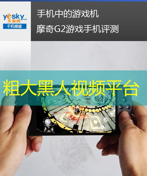 粗大黑人视频平台