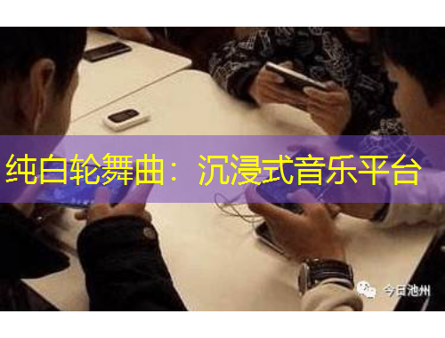 纯白轮舞曲：沉浸式音乐平台