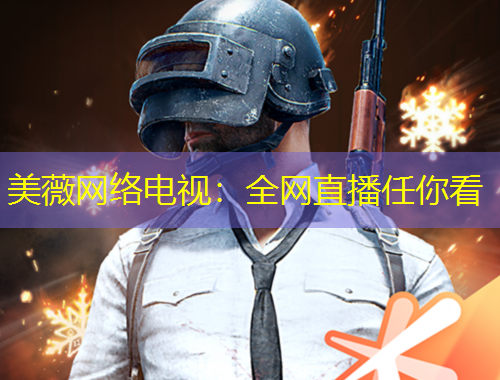美薇网络电视：全网直播任你看