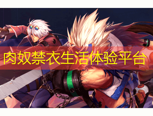 肉奴禁衣生活体验平台