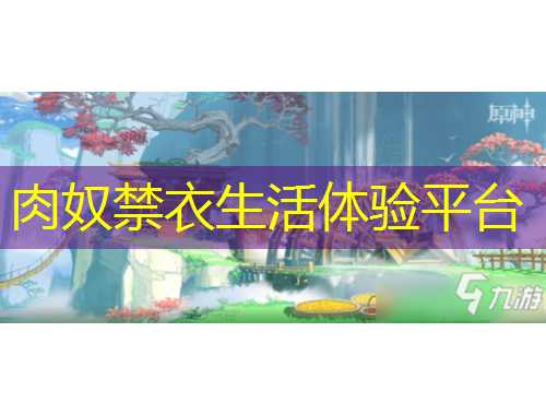 肉奴禁衣生活体验平台