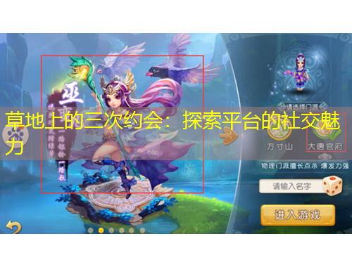 草地上的三次约会：探索平台的社交魅力