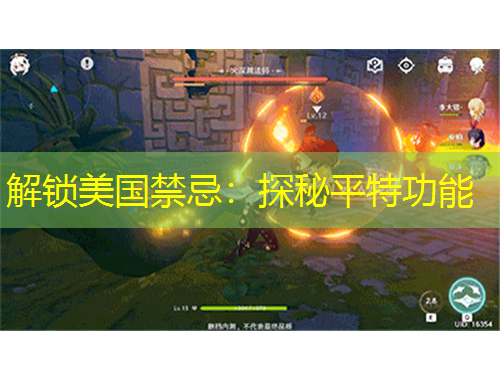 解锁美国禁忌：探秘平特功能