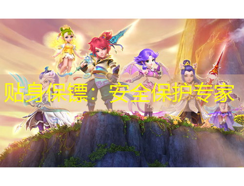 贴身保镖:安全保护专家
