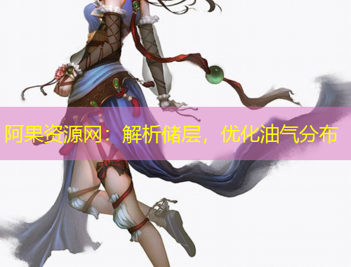 阿果资源网：解析储层，优化油气分布