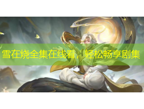 雪在烧全集在线看，轻松畅享剧集