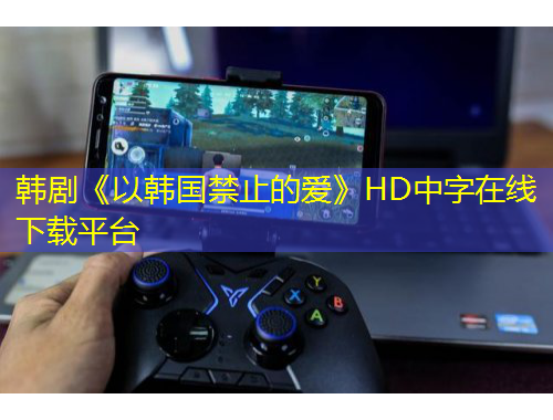 韩剧《以韩国禁止的爱》HD中字在线下载平台