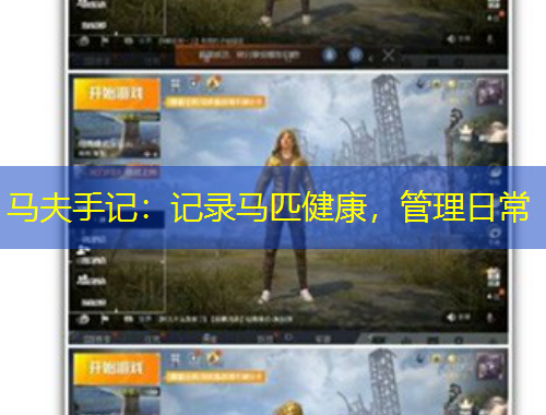 马夫手记：记录马匹健康，管理日常