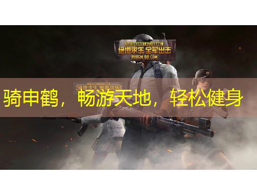 骑申鹤,畅游天地,轻松健身