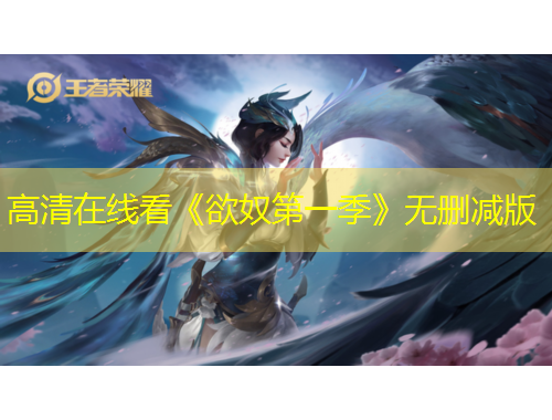 高清在线看《欲奴第一季》无删减版