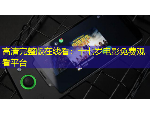 高清完整版在线看：十七岁电影免费观看平台