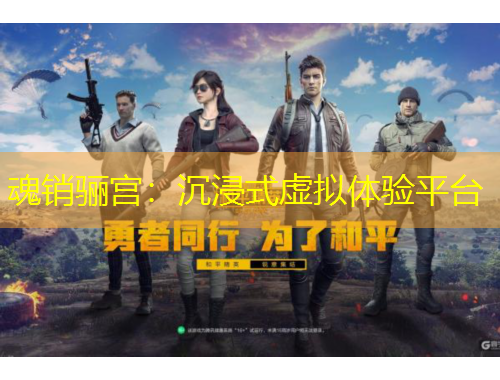 魂销骊宫:沉浸式虚拟体验平台