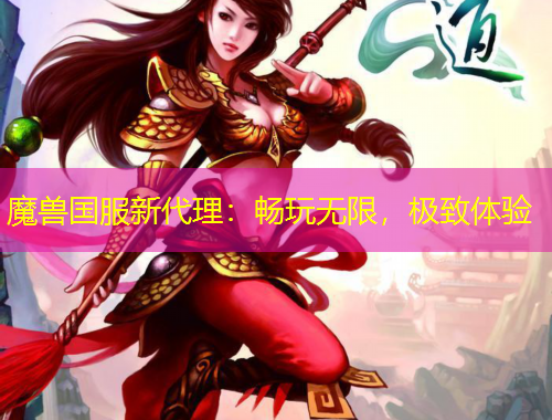 魔兽国服新代理：畅玩无限，极致体验