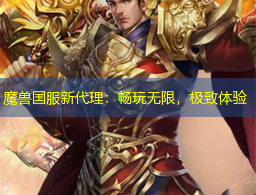 魔兽国服新代理：畅玩无限，极致体验