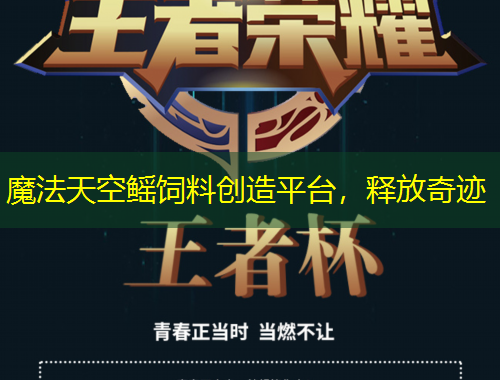 魔法天空鳐饲料创造平台，释放奇迹