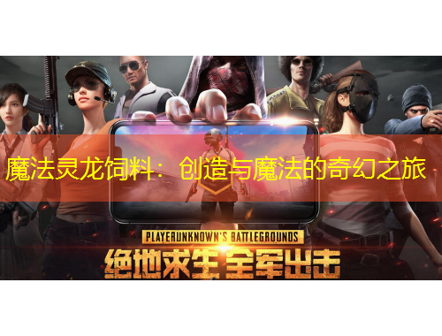 魔法灵龙饲料：创造与魔法的奇幻之旅