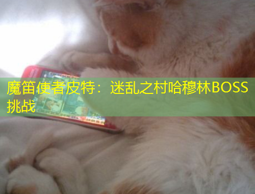 魔笛使者皮特：迷乱之村哈穆林BOSS挑战