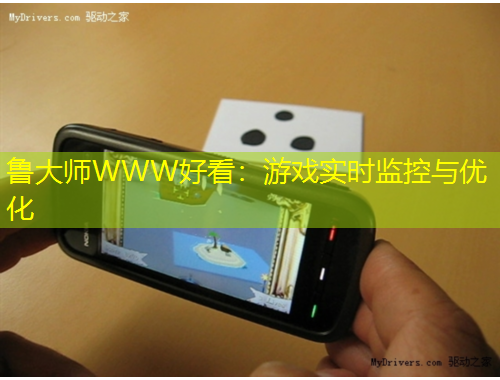 鲁大师WWW好看：游戏实时监控与优化