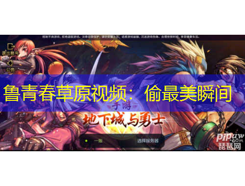 鲁青春草原视频：偷最美瞬间