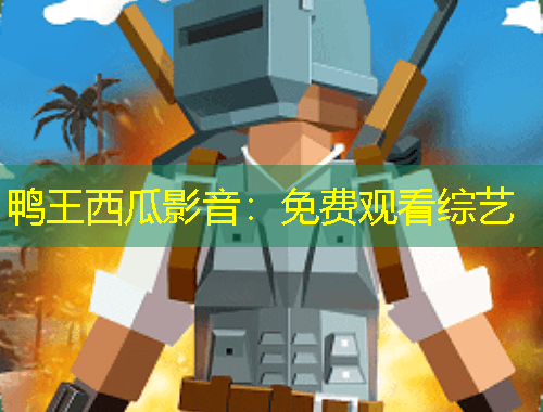 鸭王西瓜影音：免费观看综艺