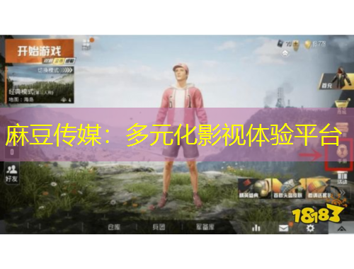麻豆传媒：多元化影视体验平台