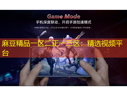 麻豆精品一区二正一三区：精选视频平台