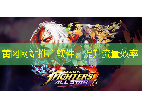 黄冈网站推广软件，提升流量效率