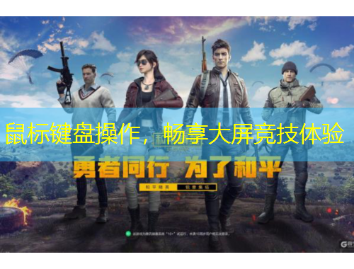 鼠标键盘操作，畅享大屏竞技体验