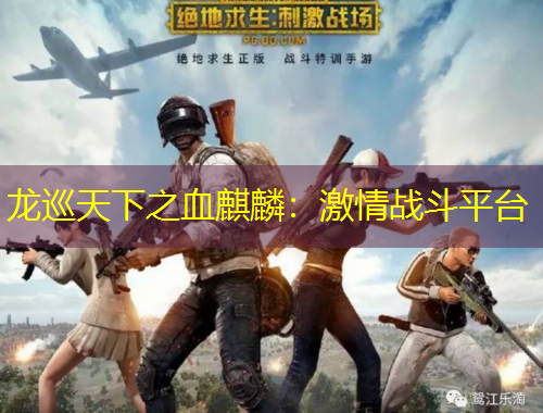 龙巡天下之血麒麟：激情战斗平台