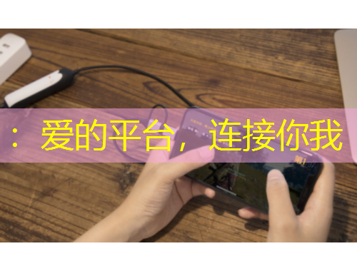 ：爱的平台，连接你我