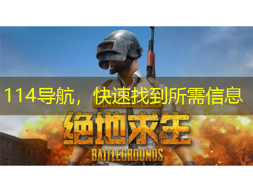 114导航，快速找到所需信息