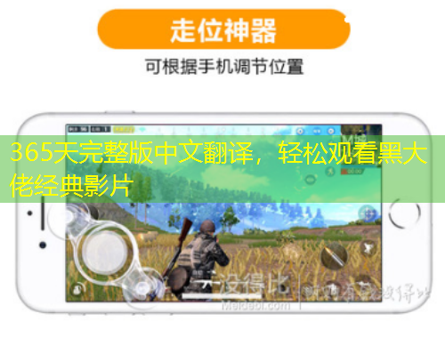 365天完整版中文翻译，轻松观看黑大佬经典影片