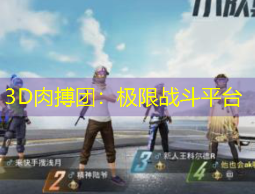 3D肉搏团：极限战斗平台