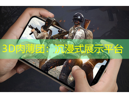3D肉薄团：沉浸式展示平台
