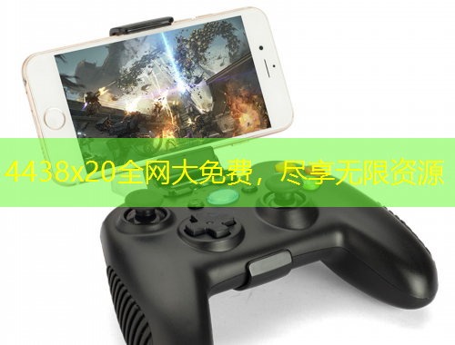 4438x20全网大免费，尽享无限资源