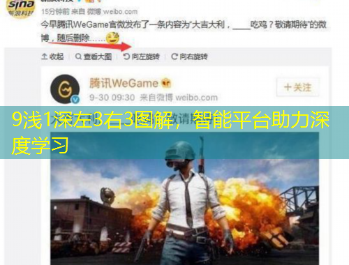 9浅1深左3右3图解，智能平台助力深度学习